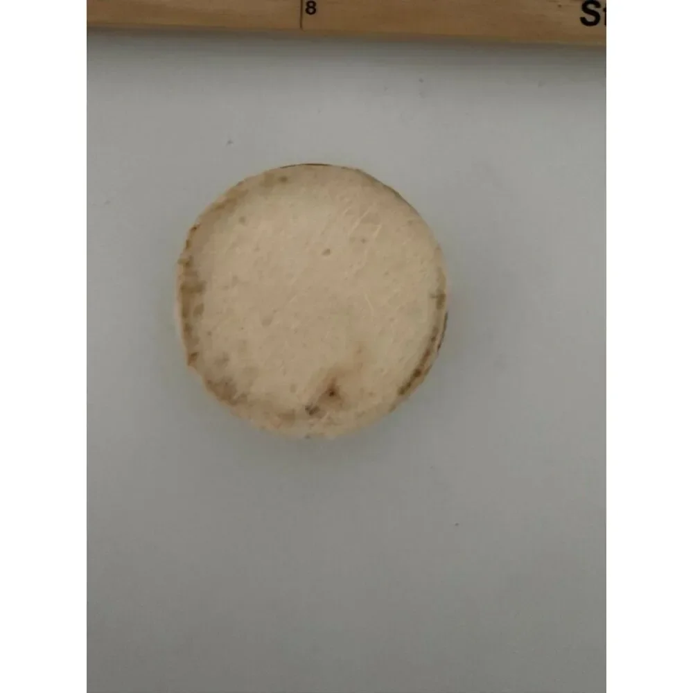 Vintage homemade paperweight  with cloth or wood trapped inside